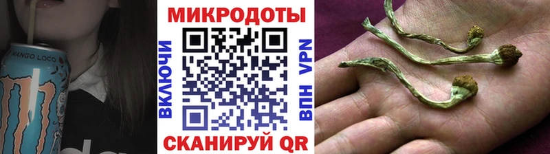 Псилоцибиновые грибы Psilocybine cubensis  закладка  Межгорье 