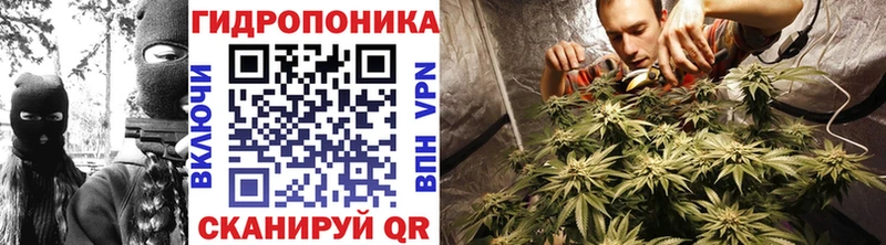 Каннабис SATIVA & INDICA  Межгорье 